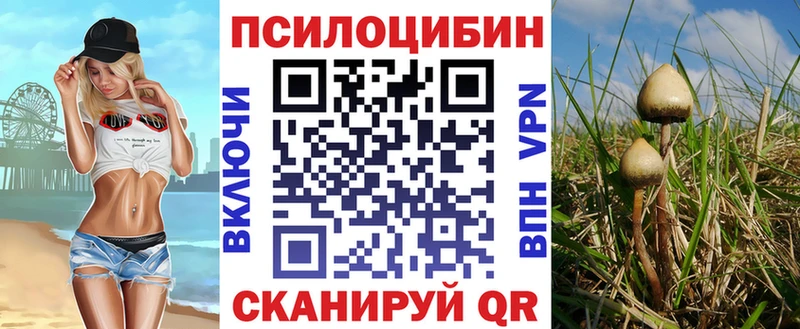 Галлюциногенные грибы GOLDEN TEACHER  Макарьев 